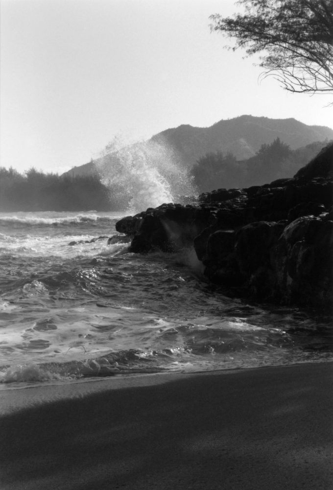 the wave